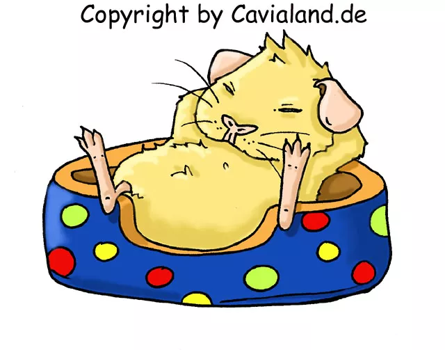 Kuschelsachen